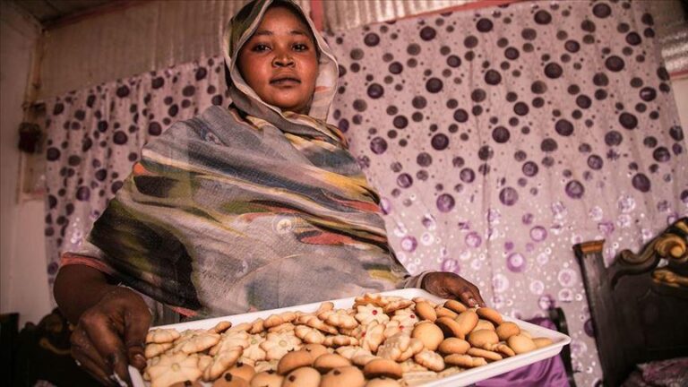 A Woman Turns Skills Into a Business – Sudan Hope Community Alliance